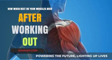 Muscle Recovery Essentials: Optimal Rest After Intense Workouts Explained