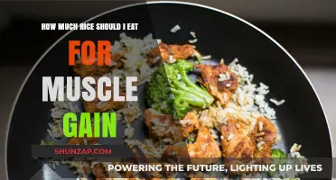 Optimal Rice Portions for Muscle Gain: A Nutritional Guide