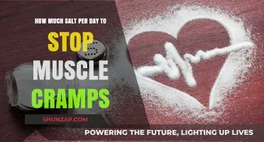 Optimal Daily Salt Intake to Prevent Muscle Cramps: A Guide