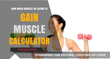 Calculate Your Muscle Gain Diet: Optimal Eating for Strength & Size