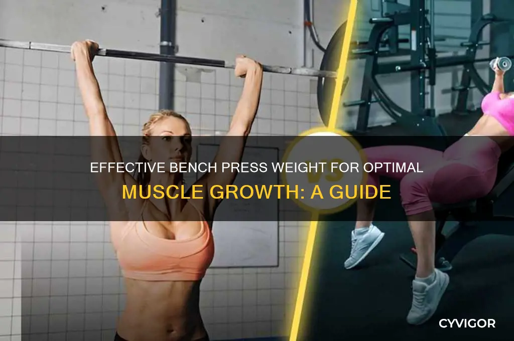 how much should i bench press to gain muscle