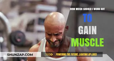 Optimal Workout Frequency for Muscle Gain: A Comprehensive Guide