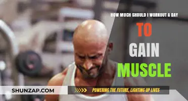 Optimal Daily Workout Duration for Effective Muscle Gain Strategies