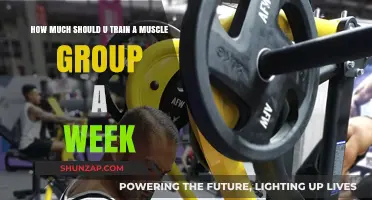 Optimal Muscle Training Frequency: Weekly Workout Strategies for Growth