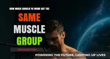 Optimal Muscle Recovery: How Often Should You Train the Same Group?