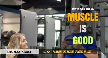 Optimal Skeletal Muscle Mass: Benefits, Risks, and Healthy Balance