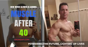 Muscle Gain After 40: Slower Pace, Smarter Strategies for Success