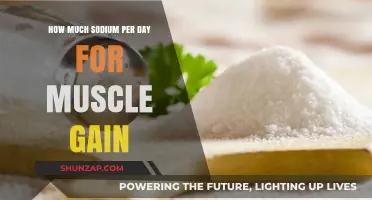 Optimal Sodium Intake for Muscle Gain: Daily Recommendations Explained