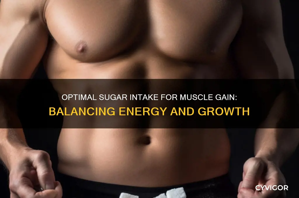 how much sugar per day to gain muscle