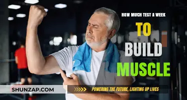 Weekly Workout Wisdom: Optimizing Tests for Muscle Growth