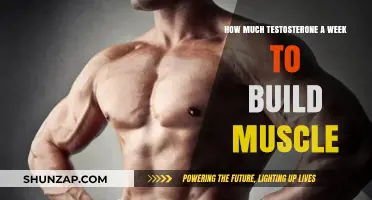 Optimizing Testosterone Levels for Muscle Growth: A Weekly Guide