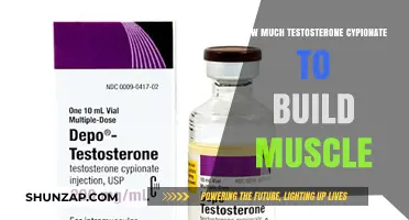 Optimizing Muscle Growth: The Right Testosterone Cypionate Dosage