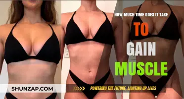 Muscle Building Timeline: How Long to See Noticeable Gains?