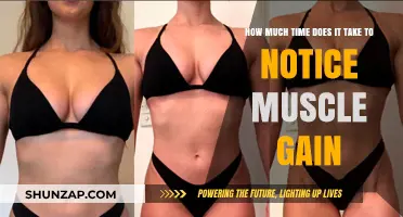 How Long Until You See Muscle Gain Results?