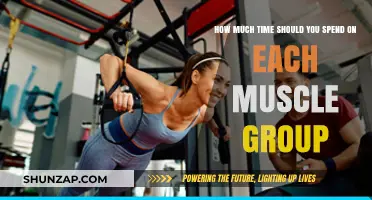 Optimize Your Workouts: Balancing Muscle Group Training Time Effectively