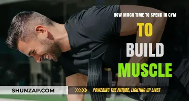 Optimal Gym Time for Muscle Building: A Comprehensive Guide