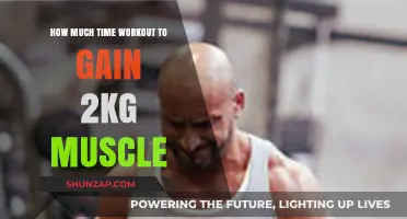 Effective Workout Duration to Gain 2kg Muscle Mass