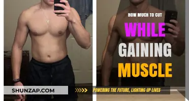 Balancing Muscle Gain and Cutting: Optimal Strategies for Effective Results