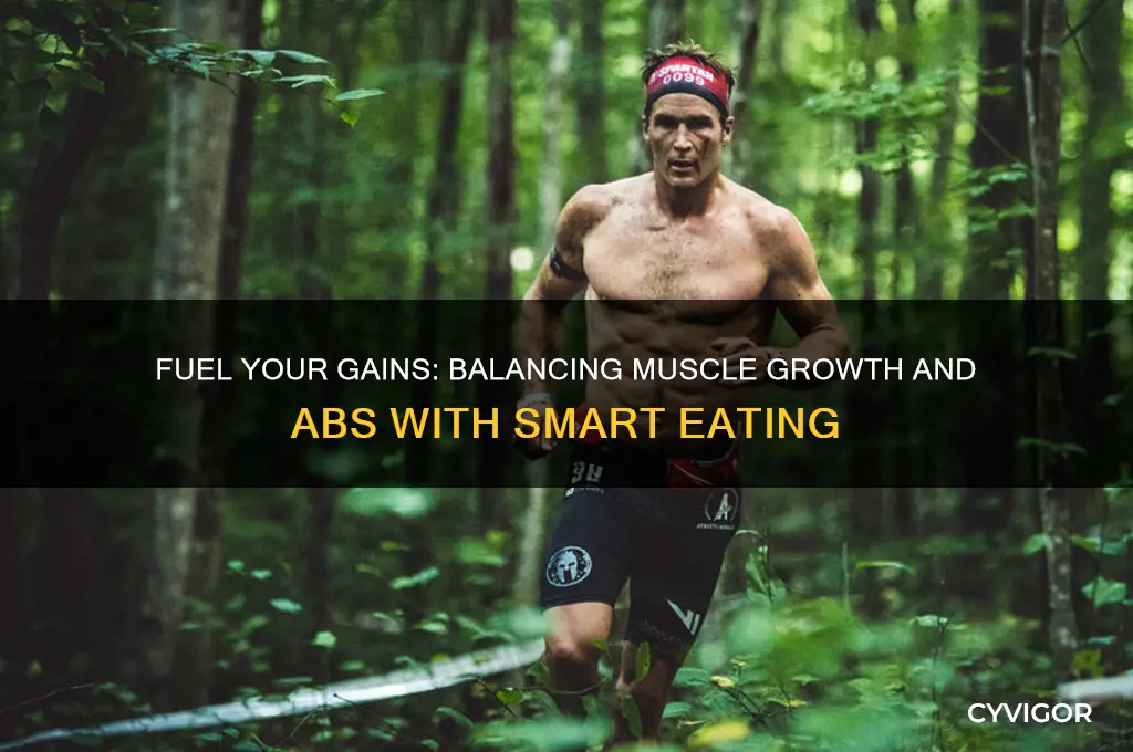 how much to eat for muscle gain and abs