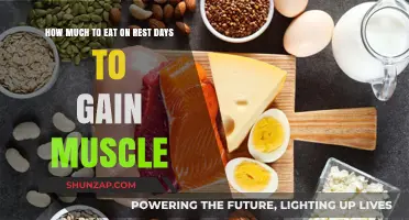 Rest Day Nutrition: Optimal Eating for Muscle Growth and Recovery