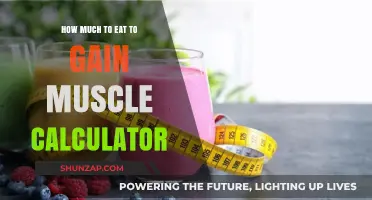 Calculate Your Muscle Gain Diet: Optimal Eating for Strength Growth