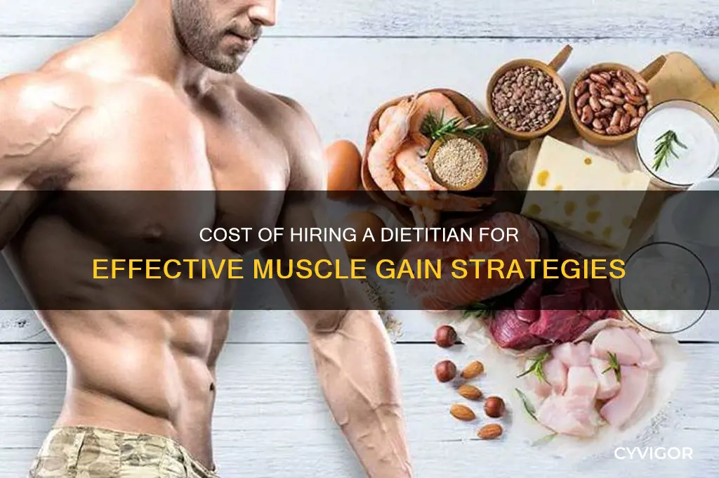 how much to hire dietitian for muscle gain