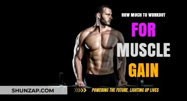 Optimal Workout Frequency for Effective Muscle Gain and Growth