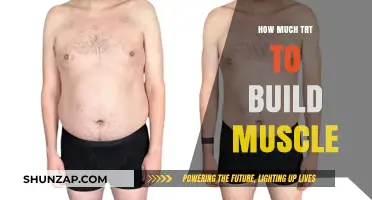Optimizing TRT Dosage for Muscle Building: A Comprehensive Guide