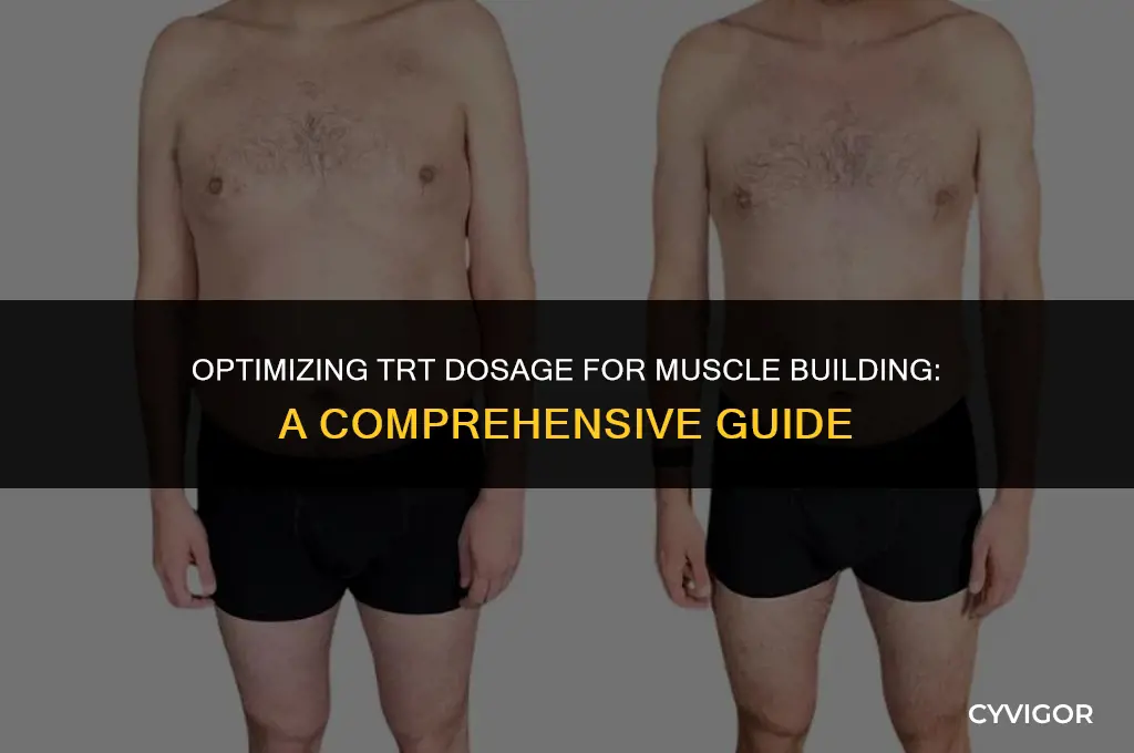 how much trt to build muscle