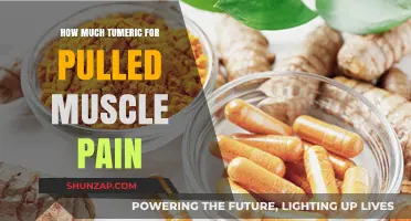 Turmeric Dosage for Pulled Muscle Pain: Natural Relief Guide
