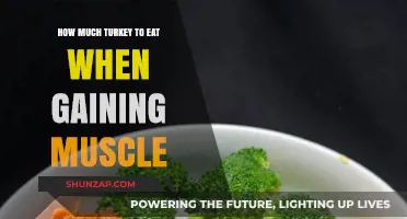 Turkey Portion Guide: Fueling Muscle Gain with Optimal Protein Intake