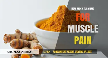 Effective Turmeric Dosage for Muscle Pain Relief: A Comprehensive Guide