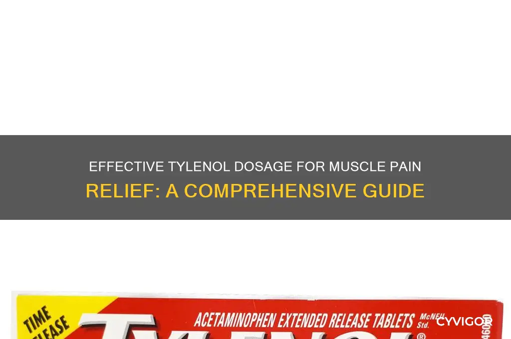 how much tylenol for muscle pain
