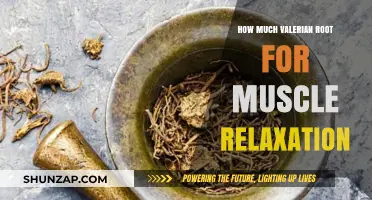 Valerian Root Dosage Guide: Optimal Amounts for Muscle Relaxation
