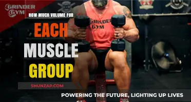Optimal Muscle Growth: Tailoring Training Volume for Each Muscle Group