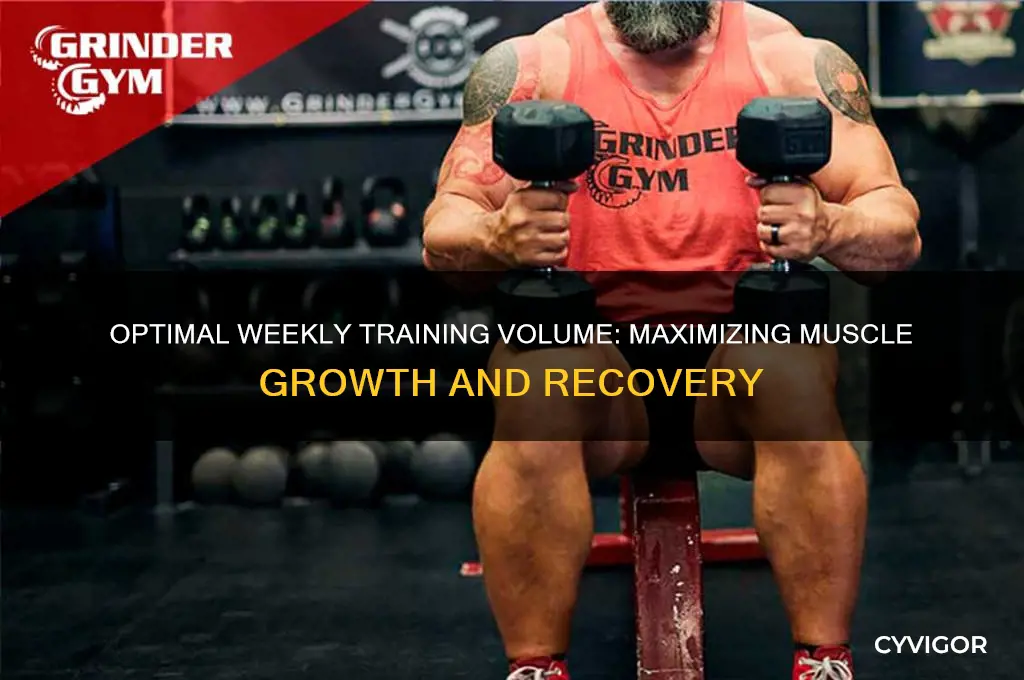 how much volume per muscle group per week