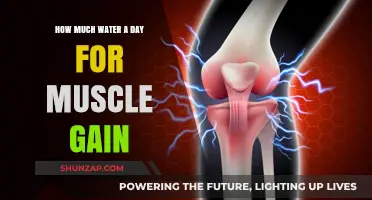 Hydration for Muscle Growth: Optimal Daily Water Intake Explained