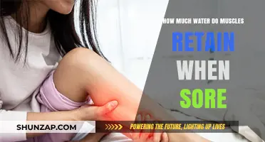 Muscle Soreness and Water Retention: Understanding Post-Workout Swelling