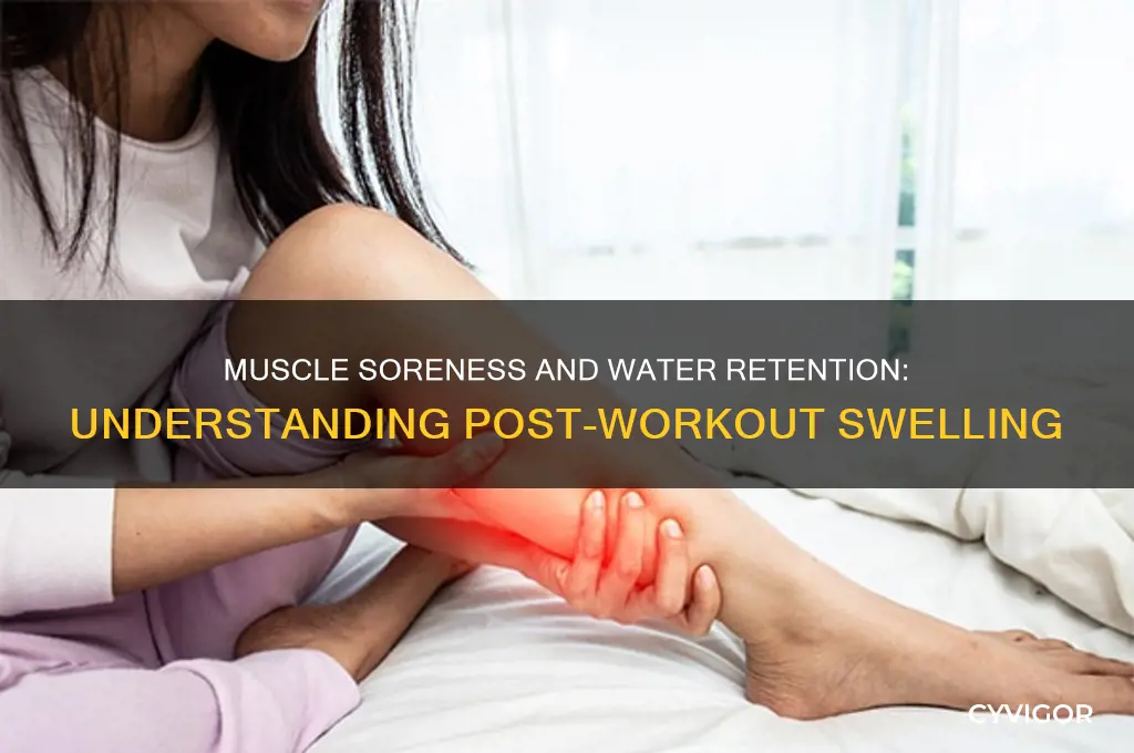 how much water do muscles retain when sore