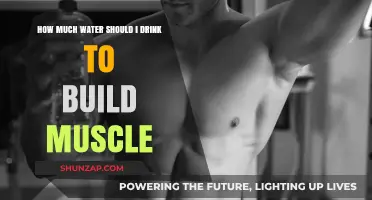 Hydration for Muscle Growth: The Essential Guide to Optimal Water Intake