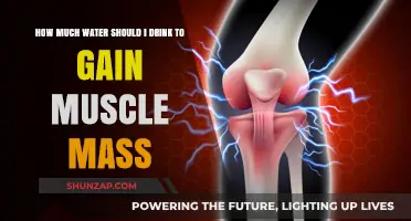 Hydration for Muscle Growth: How Much Water is Enough?
