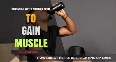 Hydration for Muscle Growth: How Much Water is Enough?