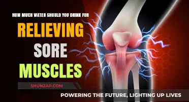 Hydration for Recovery: Optimal Water Intake to Ease Sore Muscles