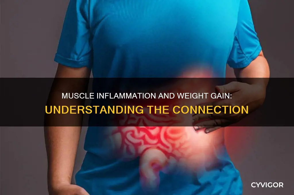 how much weight can you gain from muscle inflammation
