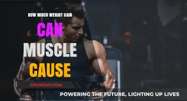 Muscle Gain: Understanding Weight Increase and Body Changes