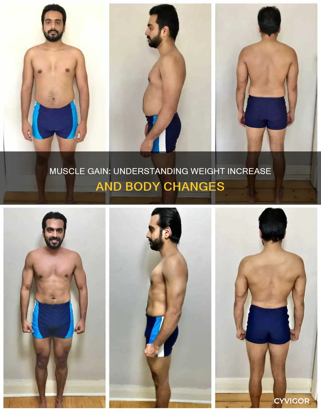 how much weight gain can muscle cause