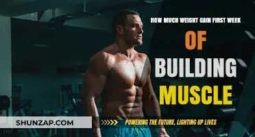 Muscle Building Week 1: Understanding Initial Weight Gain Factors