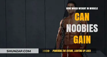 Muscle Gain for Beginners: Realistic Expectations and Results