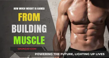 Muscle Building Weight Gain: Understanding the Scale's Surprising Shift
