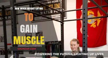 Effective Weight Lifting Strategies for Optimal Muscle Gain
